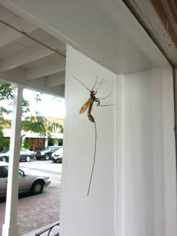 Жесткие фотографии, жесть