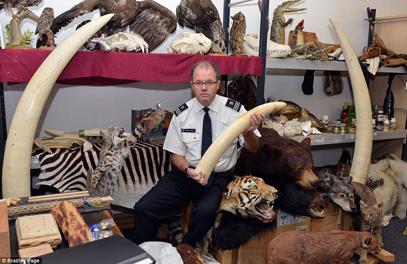 контрабанда,таможенный конфискат,чёрный рынок,жуткие предметы, аэропорт, Лондон