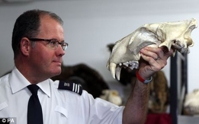 контрабанда,таможенный конфискат,чёрный рынок,жуткие предметы, аэропорт, Лондон