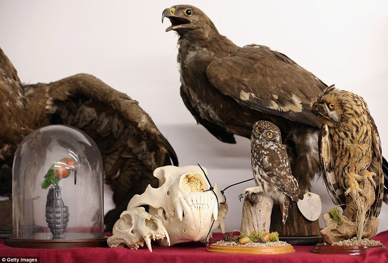 контрабанда,таможенный конфискат,чёрный рынок,жуткие предметы, аэропорт, Лондон