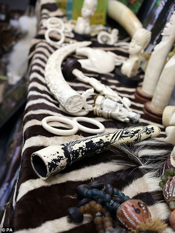 контрабанда,таможенный конфискат,чёрный рынок,жуткие предметы, аэропорт, Лондон