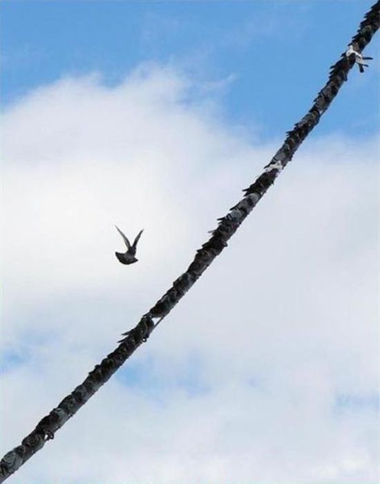 фотографии, в нужный момент, пойманный кадр