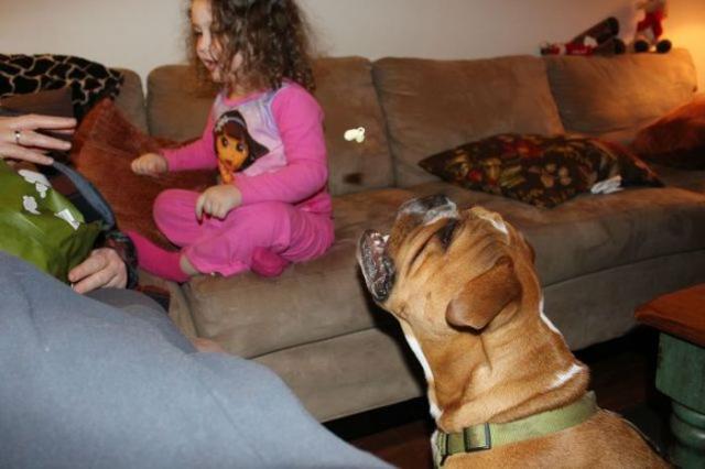 фотографии, в нужный момент, пойманный кадр