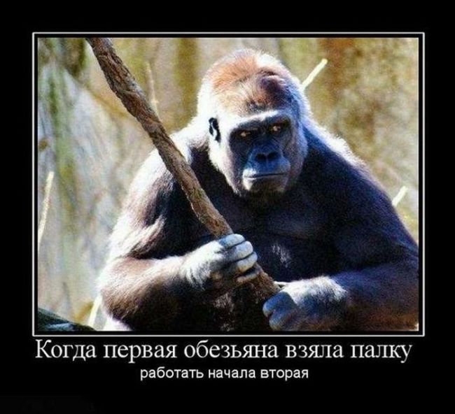 33 заблуждения, мифы, истина