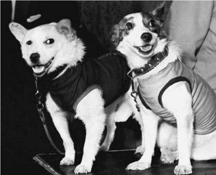 33 заблуждения, мифы, истина