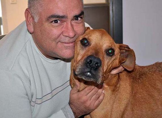 Спасение, пса,  собаки, Рафаель, весил, 21 кг, от голодной смерти