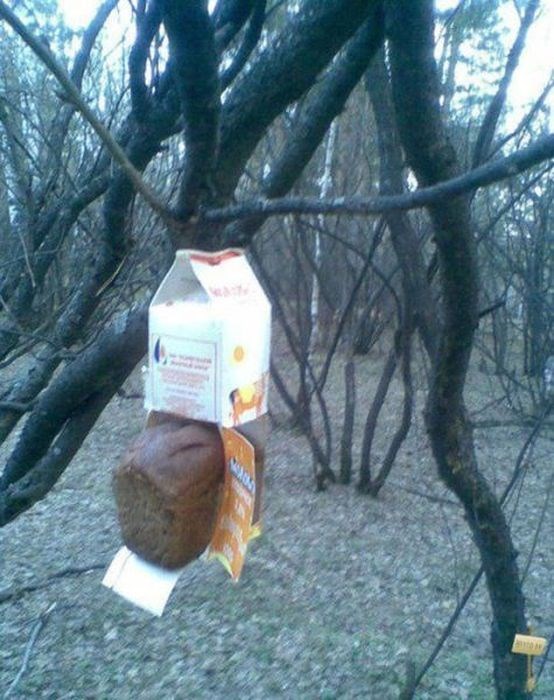 умом россию не понять, угадай страну, россия удивительная страна