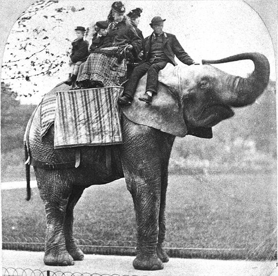 животные вошедшие в историю 