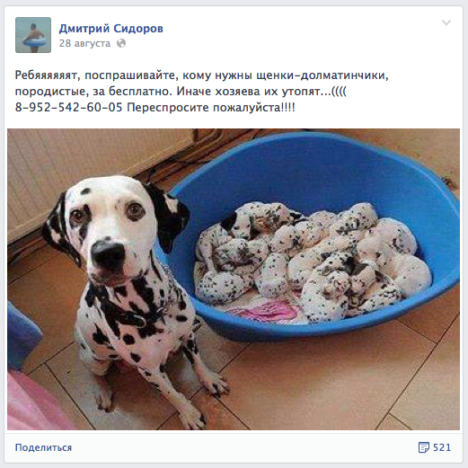 10, простых, способов, отличить ,обман, в интернете,просьба , помощи