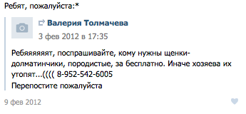 10, простых, способов, отличить ,обман, в интернете,просьба , помощи