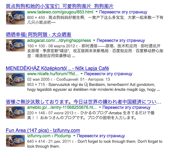 10, простых, способов, отличить ,обман, в интернете,просьба , помощи