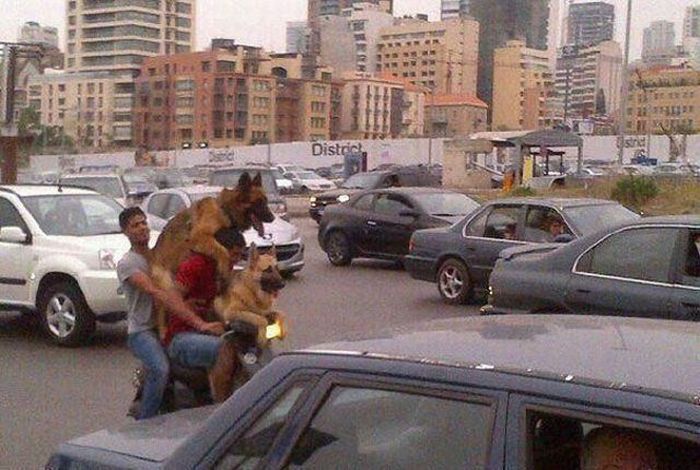 Фотографии волнующие до глубины души XIV эмоциональные фотографии, фотографии волнующие до глубины души