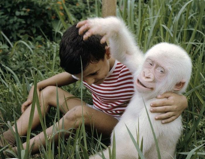 Фотографии волнующие до глубины души XIV эмоциональные фотографии, фотографии волнующие до глубины души