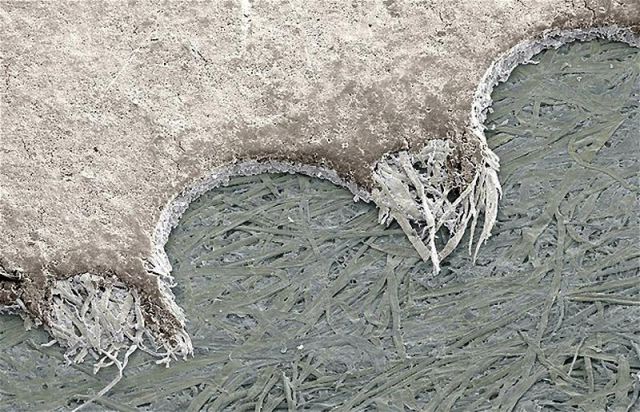 Необычный,вид ,привычные, вещи, под микроскопом,пдметы