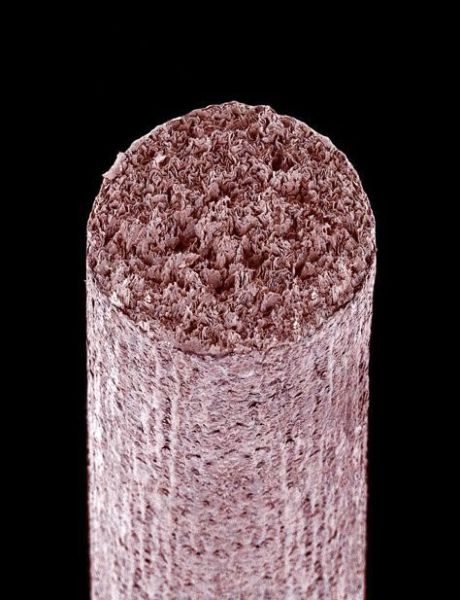 Необычный,вид ,привычные, вещи, под микроскопом,пдметы