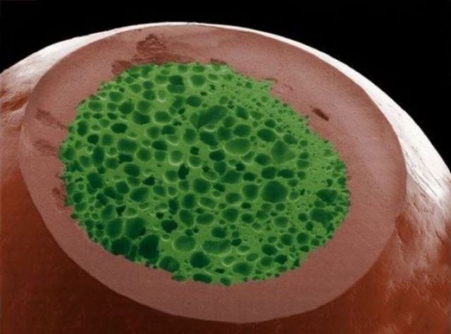 Необычный,вид ,привычные, вещи, под микроскопом,пдметы