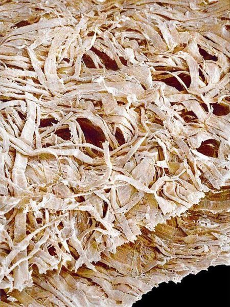 Необычный,вид ,привычные, вещи, под микроскопом,пдметы