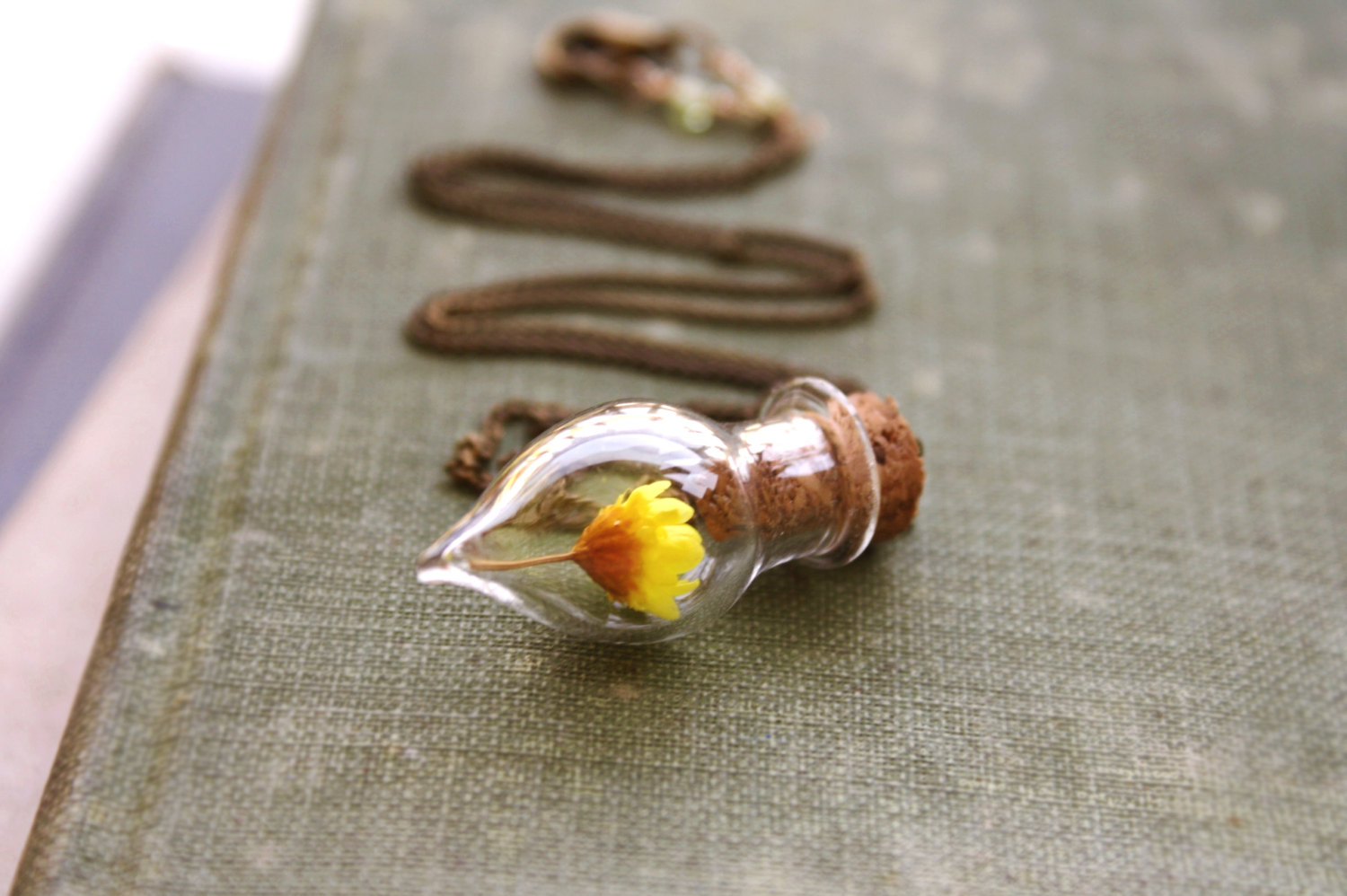 Украшения, природой внутри, Май МакКеми, Mai McKemy, лес, пейзажи, художница