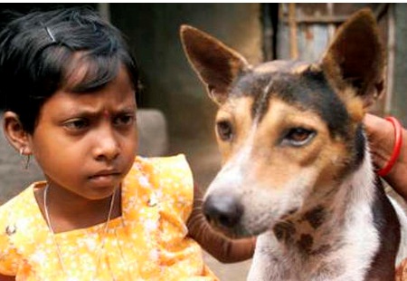 Истории, странных ,люди, женившиеся, заключившие брак, с животными, на козе, на корове, на лягушках, на лошади