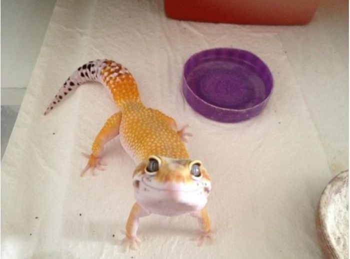 Позитив счастье и радость в фотографиях