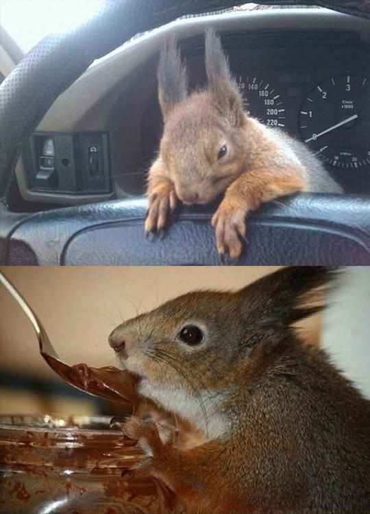 Позитив счастье и радость в фотографиях