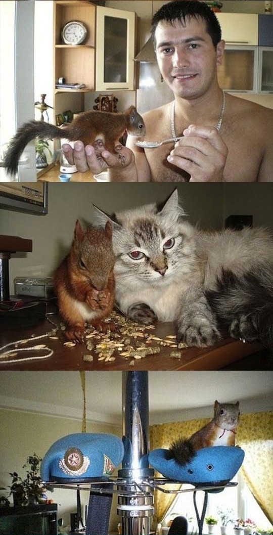 Позитив счастье и радость в фотографиях