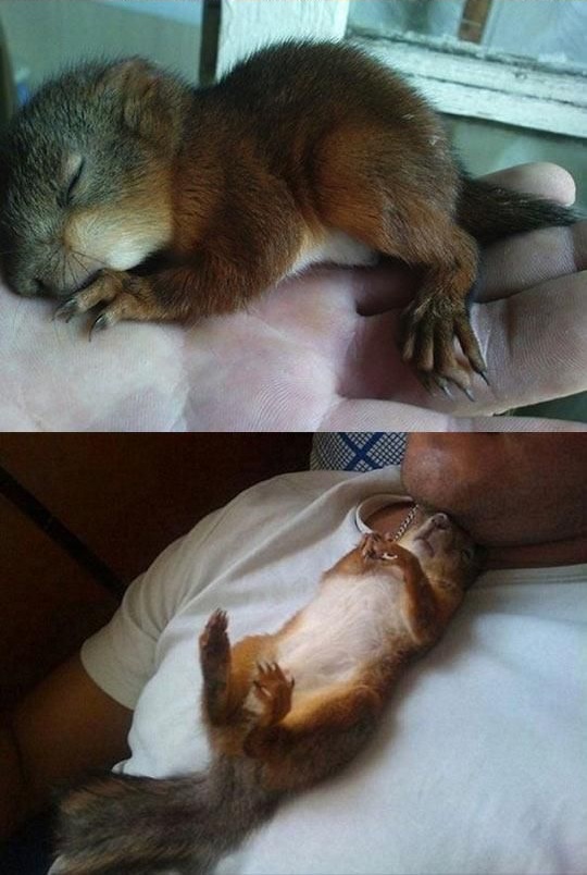 Позитив счастье и радость в фотографиях