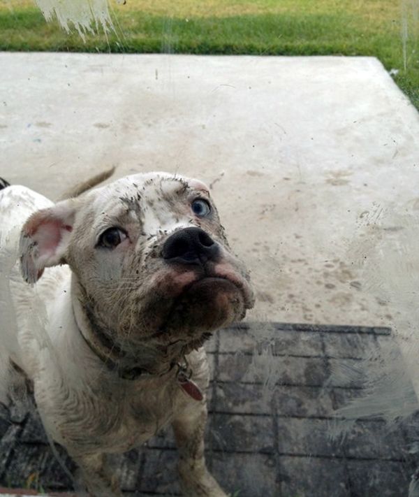 Позитив, юмор, смешные фотографии,прикол