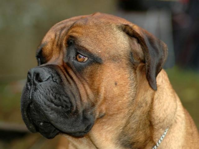 истории, судьба,смерть