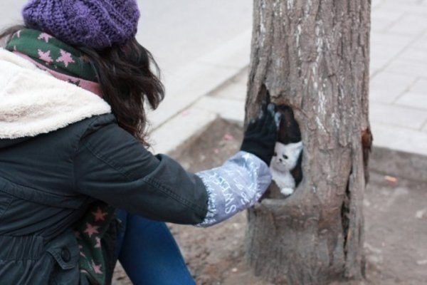 Художества, творчество, деревья, китаянка, Ван Юэ