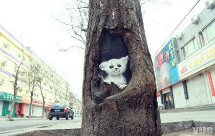 Художества, творчество, деревья, китаянка, Ван Юэ