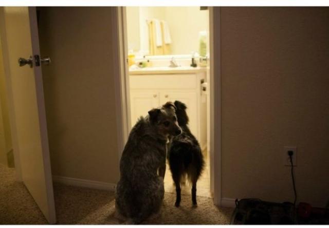 Спасение бельчонка, который остался без мамы Спасение бельчонка, история, фото