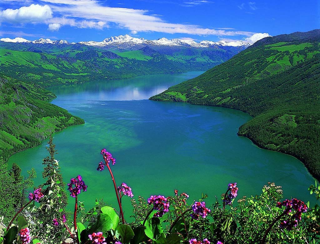 чудовища в озере