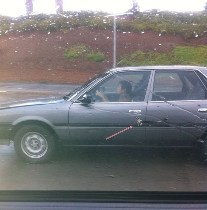 Чудаки , странные, люди, фотографии, смешное