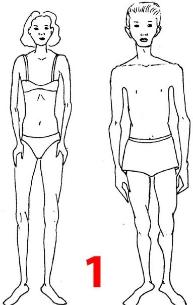 Тест, личности, по телосложению, 5 видов
