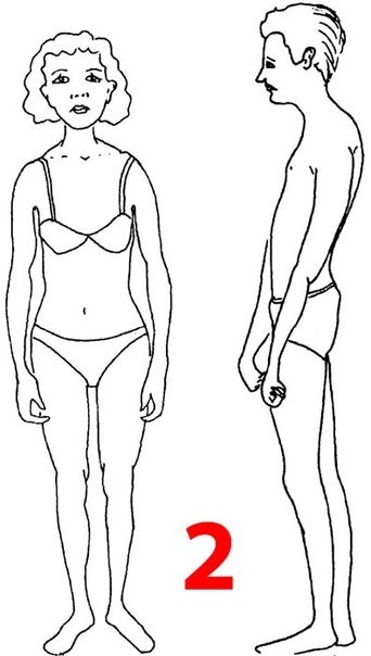 Тест, личности, по телосложению, 5 видов