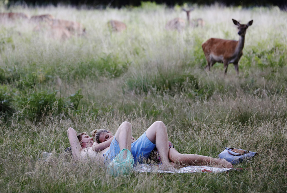 летние фото, жара, лето 2013 
