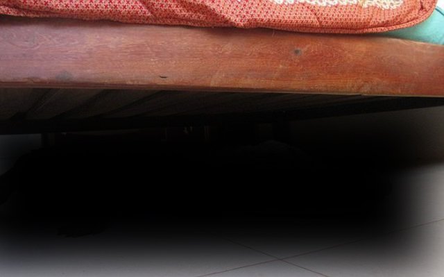 Мариасун ланда крокодил под кроватью