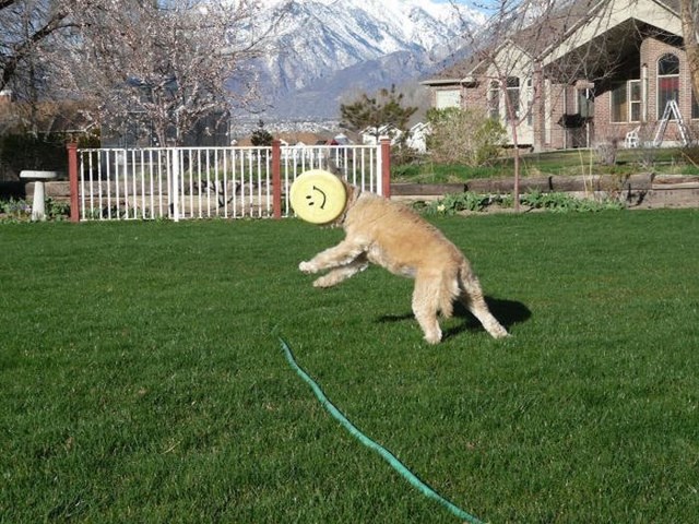 Фотографии, нужный момент,поймать кадр