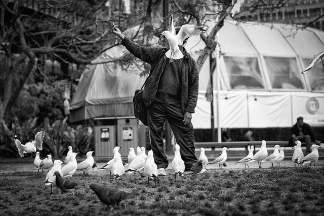 Фотографии, нужный момент,поймать кадр