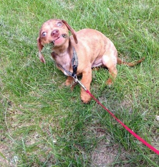 Фотографии, нужный момент,поймать кадр