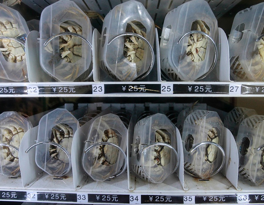 Поразительные вещи, неординарные,товары,купить,Китай