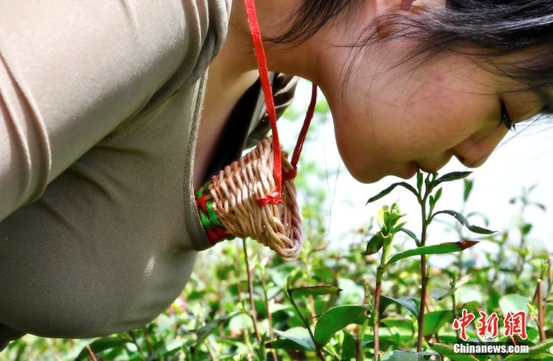 Поразительные вещи, неординарные,товары,купить,Китай