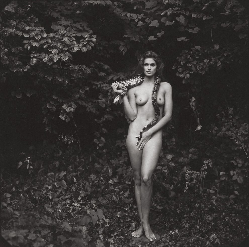 фотографии звезд, алантливый фотограф, Энни Лейбовиц