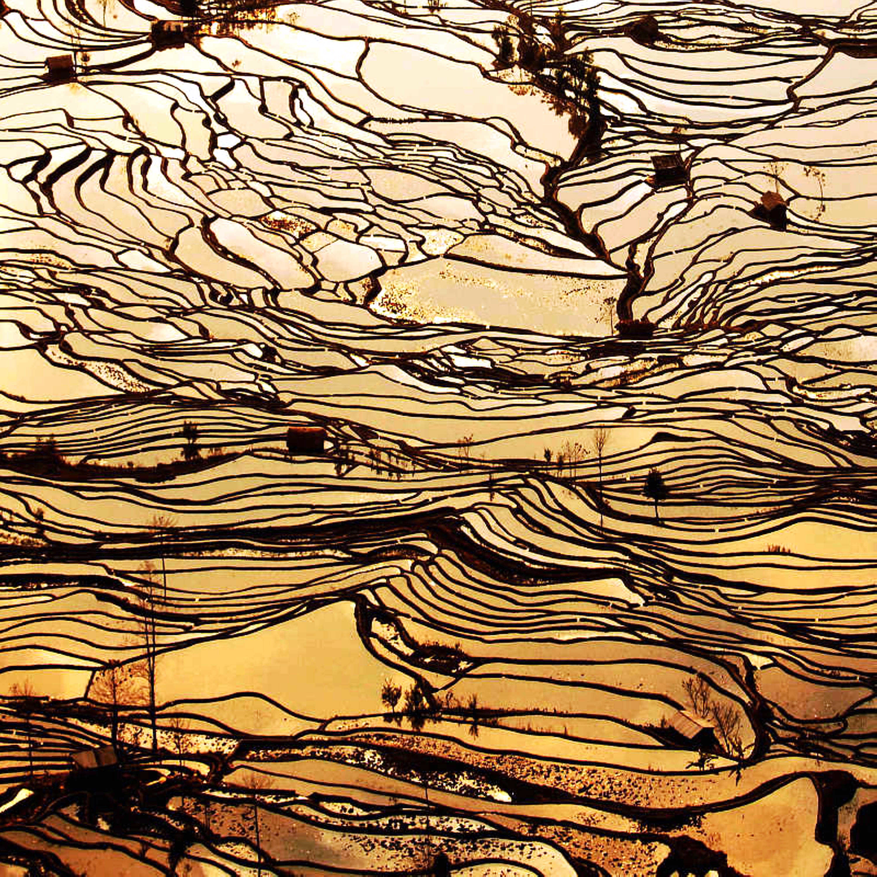 Красота и умиротворенность рисовых террас Лонгшенг Рисовые террасы, Лонгшенг, Longsheng, с высоты, террасные, рисовые поля