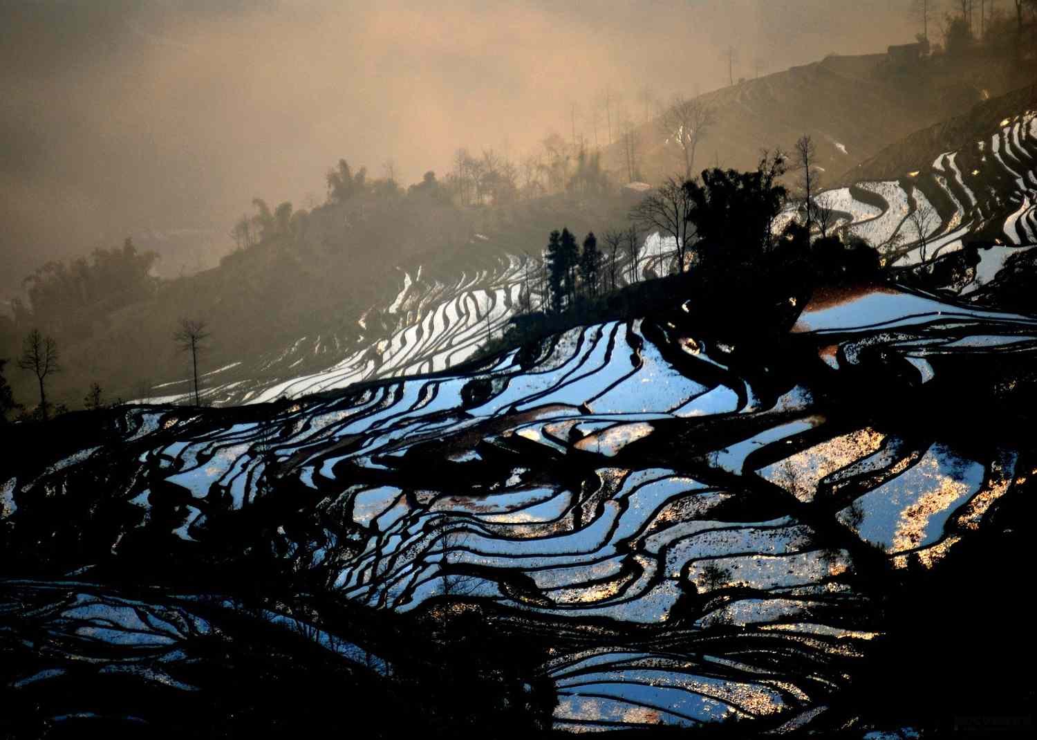 Красота и умиротворенность рисовых террас Лонгшенг Рисовые террасы, Лонгшенг, Longsheng, с высоты, террасные, рисовые поля