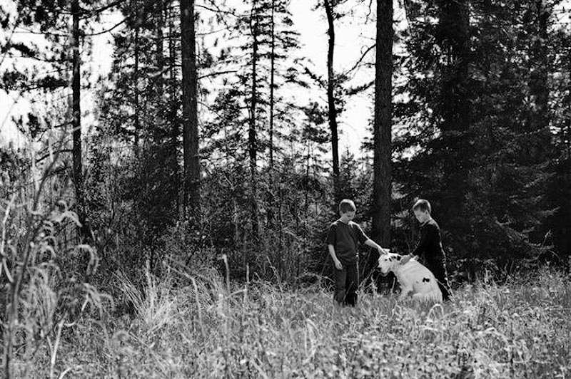 Прощание с собакой,домашний питомец,усыпление, четвероногий друг, Сара Бет Эрнхарт