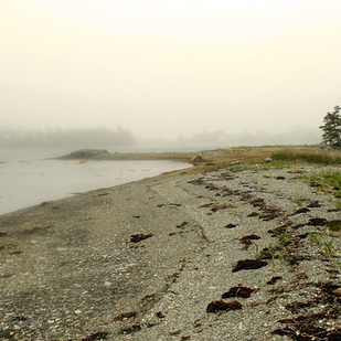 Острова, которые, можно, купить, недвижимость, стоимость