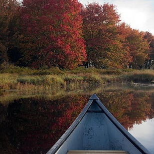 Острова, которые, можно, купить, недвижимость, стоимость