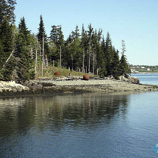 Острова, которые, можно, купить, недвижимость, стоимость